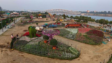 Ahmedabad's Sabarmati Riverfront Introduces Free Bird-Watching Sessions; Check Details