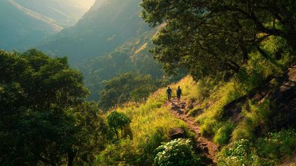 Discover 5 Stunning Trekking Places Near Bangalore for Beginners to Explore