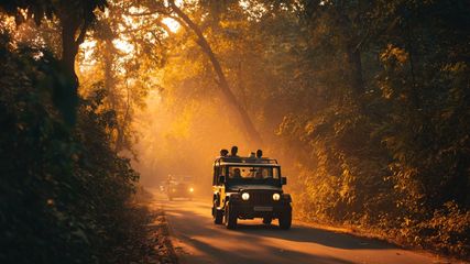 Discover the Top 5 Jeep Safaris Near Bangalore for an Unforgettable Wildlife Adventure