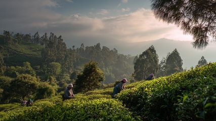 Discover 5 Amazing Family-Friendly Getaways Near Bangalore for a Memorable Weekend