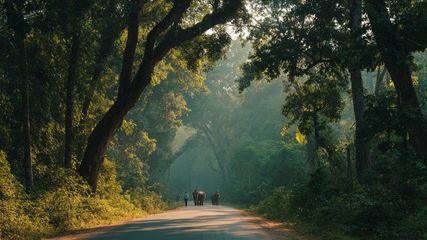 Discover the Bangalore to Wayanad Distance, Route Map, & Travel Time 