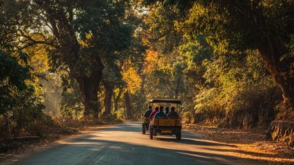 Embark on an Unforgettable Road Trip: Discover 3 Scenic Routes from Bangalore to Wayanad