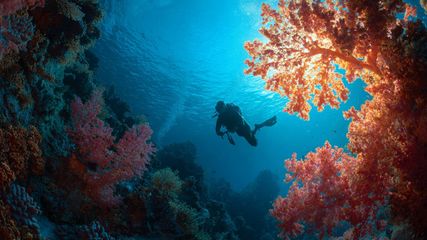 Discover 5 Thrilling Adventure Activities Near Bangalore in October for Unforgettable Experiences