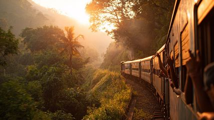 Discover How to Reach Wayanad from Bangalore, 4 Convenient Travel Options Explained