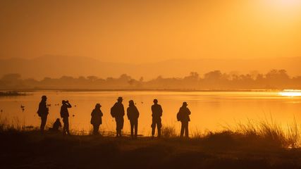 Discover 5 Stunning Bird-Watching Places Near Bangalore for Nature Lovers This Weekend