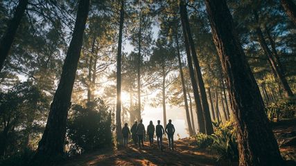 Discover 5 Unforgettable 2-Day Trips to Tamil Nadu from Bangalore for a Cultural Escape