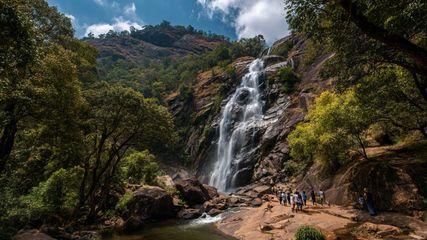Discover 5 Unexplored Waterfalls Near Bangalore for a Serene Nature Escape