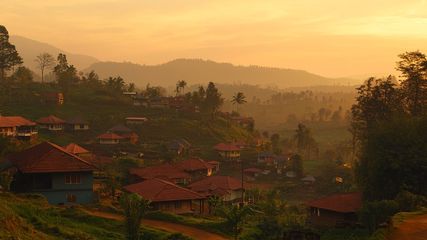 Discover the Best Time to Visit Wayanad from Bangalore: A Seasonal Guide for Nature Lovers