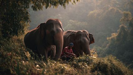 Top 5 Wildlife Sanctuaries Near Bangalore to Visit in October