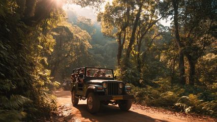 Embark on Thrilling Wildlife Safaris in Wayanad for Bangalore Adventure Lovers