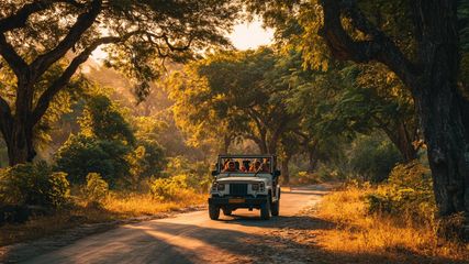 Embark on a Scenic Bangalore to Wayanad Via Bandipur Forest Drive