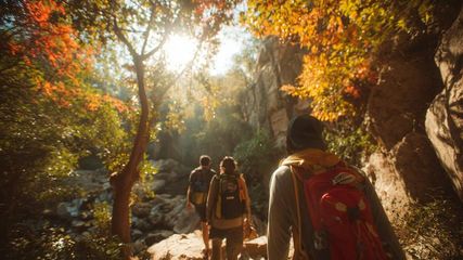 Best Winter Treks in Northeast India for Beginners