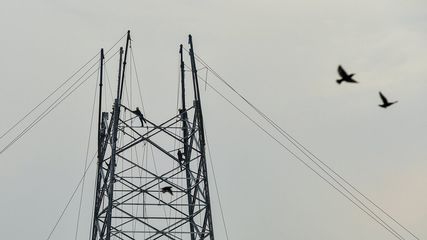 Bengaluru Power Cut on 27 Jan 2026: Scheduled Outages & What to Know