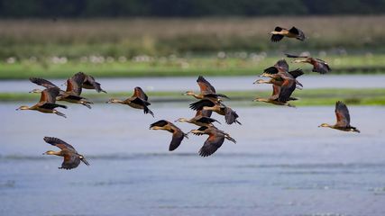 Big Experiences, Small Budget: Trips from Hyderabad Under ₹3000