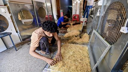Hyderabad Power Demand Surges Amid Heatwave; City Accounts for Major Share of Consumption