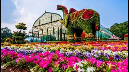 Lalbagh Flower Show Ends Today: Essential Tips to Beat Crowds and Traffic