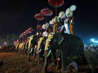 2014ലെ പൂരങ്ങളും ഗജമേളകളും പിന്നെ ആനയോട്ടവും!