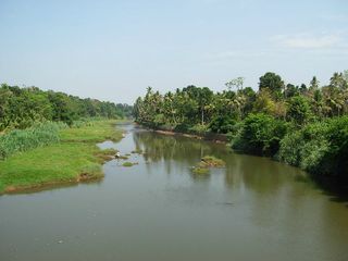 പുനലൂരിൽ നിന്ന് കാനന പാതയിലൂടെ അച്ചൻകോവിലേക്ക്!