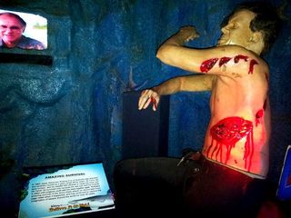 വിശ്വസിച്ചാലും ഇല്ലെങ്കിലും ഒരു മ്യൂസിയം