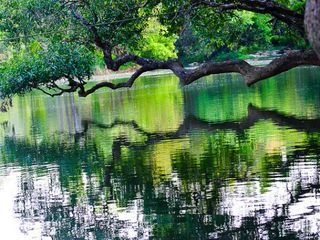 കുറുവ ദ്വീപിനെക്കുറിച്ച് ചില കാര്യങ്ങള്‍
