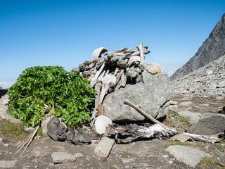 അസ്ഥികൂടങ്ങളുടെ തടാകത്തിലേക്ക് ഒരു യാത്ര