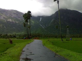 നെല്ലിയാമ്പതി യാത്ര