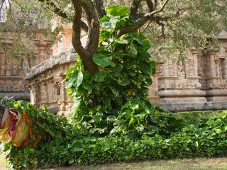 ക്ഷേത്രങ്ങള്‍ക്ക് മാത്രമായി ഒരു നഗരം!