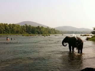 കൊച്ചിയില്‍ നിന്ന് കോടനാട്ടേക്ക് ഒരു യാത്ര