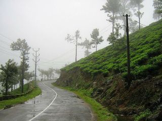 പീരുമേട്ടിലേക്ക് യാത്ര പോകാം