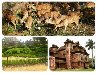 തിരുവനന്തപുരം മൃഗശാലയേക്കുറിച്ച് ചില കാര്യങ്ങള്‍