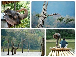 തേക്കടിയിലേക്ക് യാത്ര പോകാം