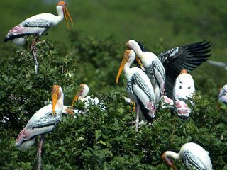 ചെന്നൈ നിങ്ങളെ ബോറടിപ്പിക്കില്ലാ!