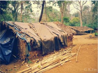 പൂയംകുട്ടി യാത്ര, ചിത്രങ്ങളിലൂടെ