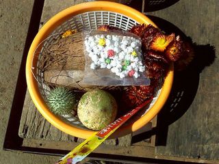 മുംബൈയില്‍ നിന്ന് ഭീമശങ്കറിലേക്ക്