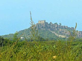 രത്നങ്ങൾ തേടി ആ‌ട്ടിടയ്ന്മാരുടെ കുന്നിലേക്ക്