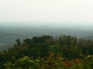 തടിയന്റെമോള്‍ ട്രെക്ക്; അറിഞ്ഞിരിക്കേണ്ട കാര്യങ്ങള്‍