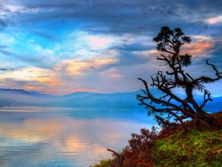 മേഘാലയ യാത്രയ്ക്ക് പ്രേരി‌പ്പിക്കുന്ന 10 ചിത്രങ്ങള്‍