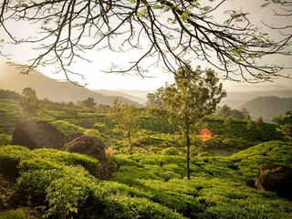 ഇടുക്കിയിലെ ഹണിമൂൺ പറുദീസകൾ