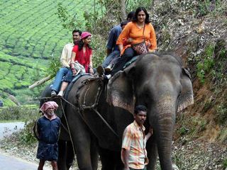 മൂന്നാറിലെ ഹണിമൂൺ അവിസ്മരണീ‌യമാക്കാൻ 10 കാര്യങ്ങൾ