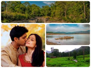 ഹ‌ണിമൂൺ ആഘോഷിക്കാൻ കാട്ടിലേക്ക് പോകാം