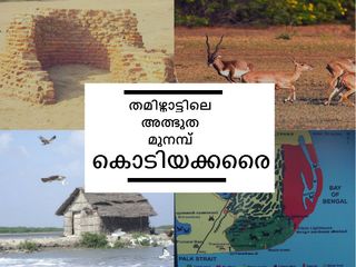 കൊടിയക്കരൈ എന്ന തമിഴ്നാട്ടിലെ അത്ഭുത മുനമ്പ്