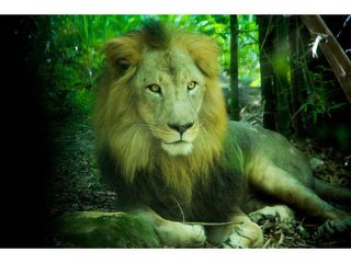 ബന്നേര്‍ഗട്ട സന്ദർശിക്കുന്നവർ അറിയാൻ