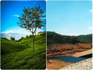 സമ്മർ വെക്കേഷന് തമിഴ്നാട്ടിലേക്ക്: വേനൽക്കാല യാത്രയ്ക്ക് 8 സ്ഥലങ്ങൾ