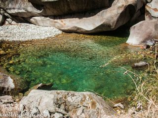 4500 അടി ഉയരത്തിലെ പുഴമീന്‍ രാജ്യം