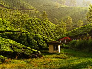 പ്രണയിക്കുന്നവരേ...വരൂ...പോകാം...മൂന്നാറിലേക്ക്...