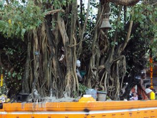 ശ്രീകോവിലും പ്രതിഷ്ഠയുമില്ലാത്ത പരബ്രഹ്മ ക്ഷേത്രം