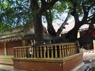 മദ്യപാനത്തില്‍ നിന്നും വിടുതല്‍ വേണോ? ഈ കോവിലില്‍ പോകാം