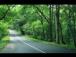 ഡ്രൈവ് ചെയ്യാം സന്തോഷിക്കാം...