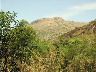 വേണാടിനെ സംരക്ഷിക്കാന്‍ കന്യാകുമാരിയില്‍ പണിത കോട്ട