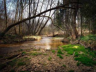 ബാംഗ്ലൂർ നഗരത്തിനരികിലുള്ള ക്യാമ്പിംങ്ങ് സ്ഥലങ്ങൾ